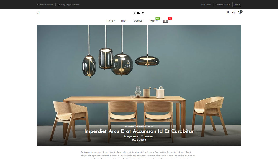 Blog post view no sidebar